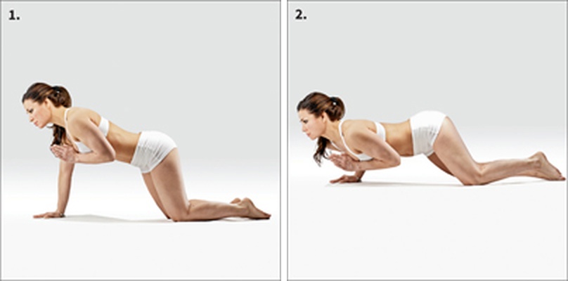 Čaturanga na jedné ruce - Eka Hasta Chaturanga Dandasana