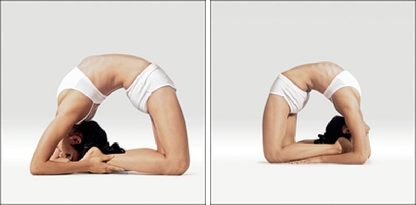 Holub - Kapotasana