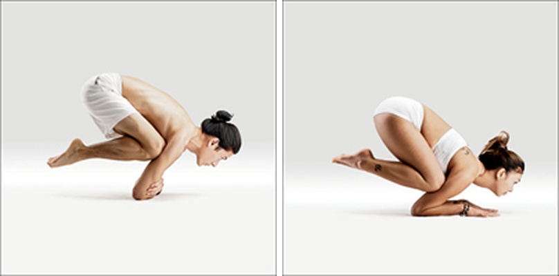 Divoká kachna (Kāraṇḍavāsana) - Karandavasana
