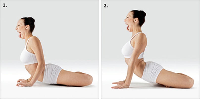 Mudrc an - Narasimhasana