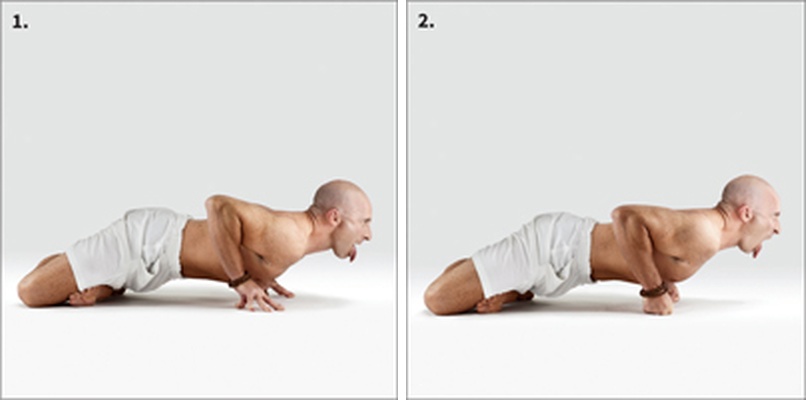 Hůl s variací Narasimhasana - Narasimhasana in Chaturanga Dandasana