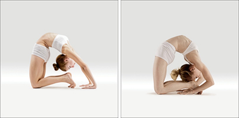 Holub na špičkách - Prapada Kapotasana