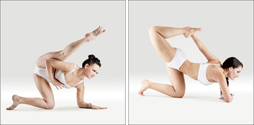 Tygr s oporou - Salamba Vyaghrasana