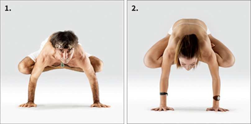 Vzpřímený kohout (Ūrdhva Kukkuṭāsana) - Urdhva Kukkutasana