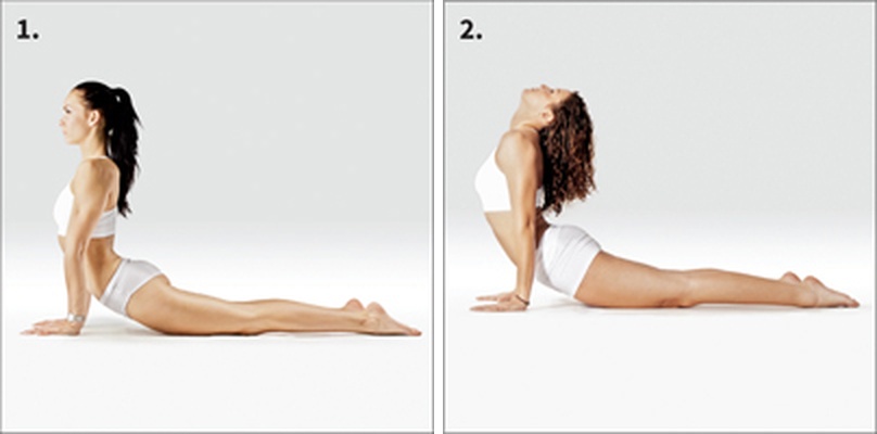 Pes hlavou nahoru - Ūrdhva Mukha Śvānāsana