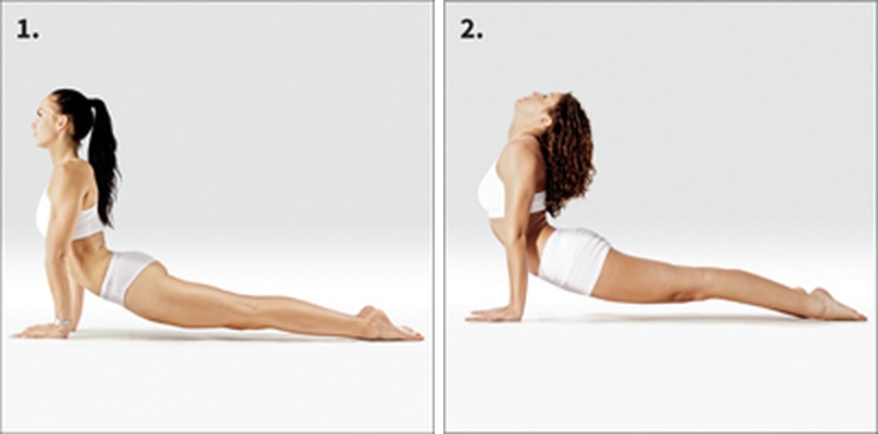 Pes hlavou nahoru - Urdhva Mukha Shvanasana