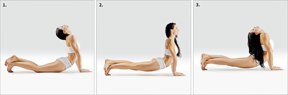 Pes hlavou nahoru - Urdhva Mukha Shvanasana