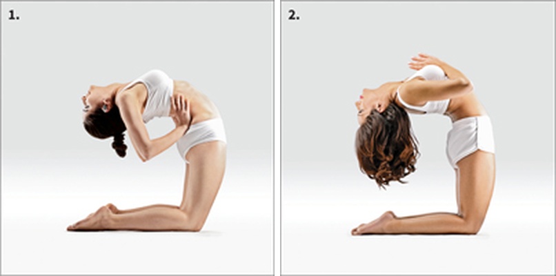 Velbloud - Ushtrasana Prep.