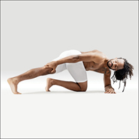 Hůl - Hasta Pada Parshva Vishama Pada Makara Dandasana
