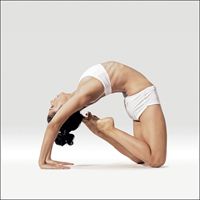 Holub - Kapotasana