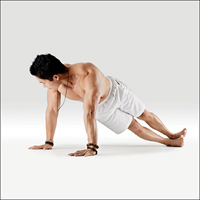Rotovaná Čaturanga (Nízké prkno) - Parivritta Utthita Chaturanga Dandasana