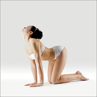 Pes hlavou nahoru - Urdhva Mukha Shvanasana Tilt