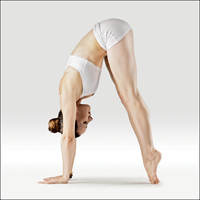 Hluboký předklon - Uttana Kulpa Uttanasana 1