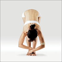 Hluboký předklon - Uttanasana