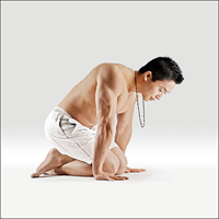 Hrdina - Virasana